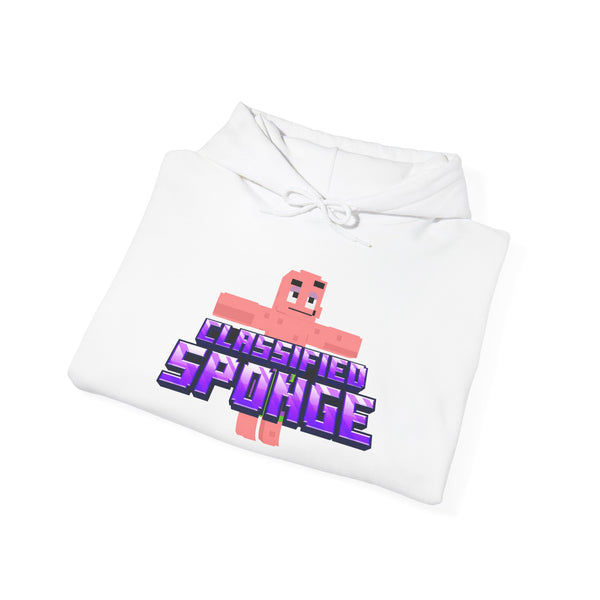 Classified Hoodie